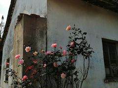 -皓晶庄园