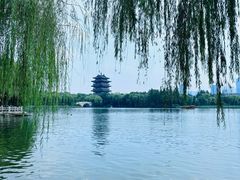 -济南大明湖景区