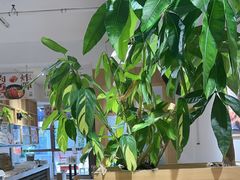 -米国现煲煲仔饭(塔子湖店)