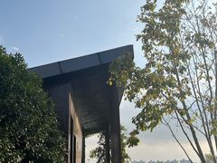 -昆山城市生态森林公园