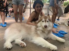 -TrueLove @ Neverland (Husky Cafe)