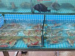 -瑶记海鲜餐厅(西涌店)
