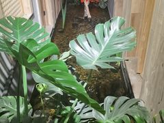 -邈墨茶馆(凤起路店)