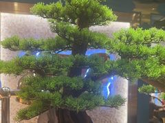 -空之介寿喜烧·和牛放题(恒隆广场店)