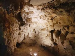 -怀托摩萤火虫洞