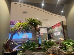 -蝎王府羊蝎子(西直门店)