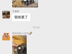 -北京派仕佳德动物医院·超导核磁·CT·神经科·骨科·内外科·急重症管理中心