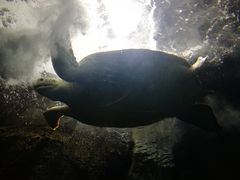 -福州罗源湾海洋世界旅游区