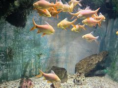 -常州海昌海洋探索馆