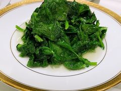 清炒豆苗-蝶园·装修中(BFC外滩金融中心店)