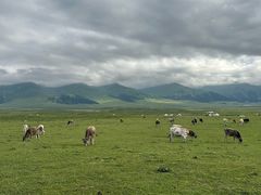 -新疆那拉提国家旅游度假区