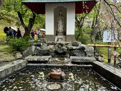 -天龙寺