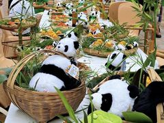 -灵玲国际马戏城