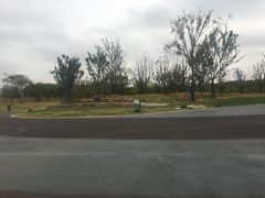 -盘龙城遗址博物院