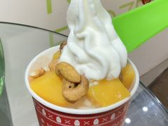 -Salud撒露欧洲冻酸奶(北苑上品店)