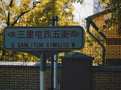 -三里屯东五街银杏大道