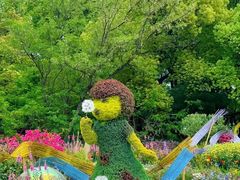 -上海共青森林公园