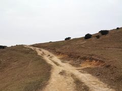 -大姆山草场