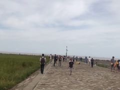 -南汇嘴观海公园