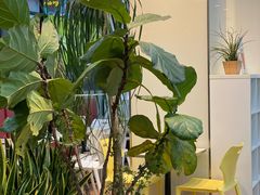 -813芭依珊 BAESAn(皇冠十畝地店)