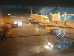 -威海大水泊国际机场