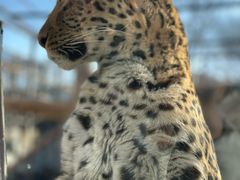 -石家庄市动物园