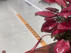 -招商银行(深圳罗湖支行)