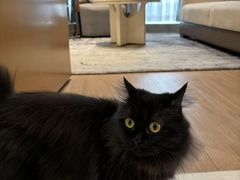 -争渡心理咨询全国连锁(福田店)