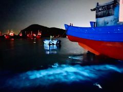 -海坛特色小吃·只做平潭特色菜(平潭店)