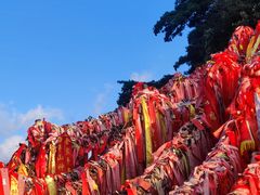 -华山风景名胜区