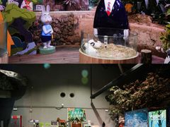 -正佳雨林生态植物园