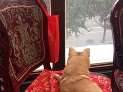 宋记便宜坊(二七店)-宋记便宜坊(二七店)