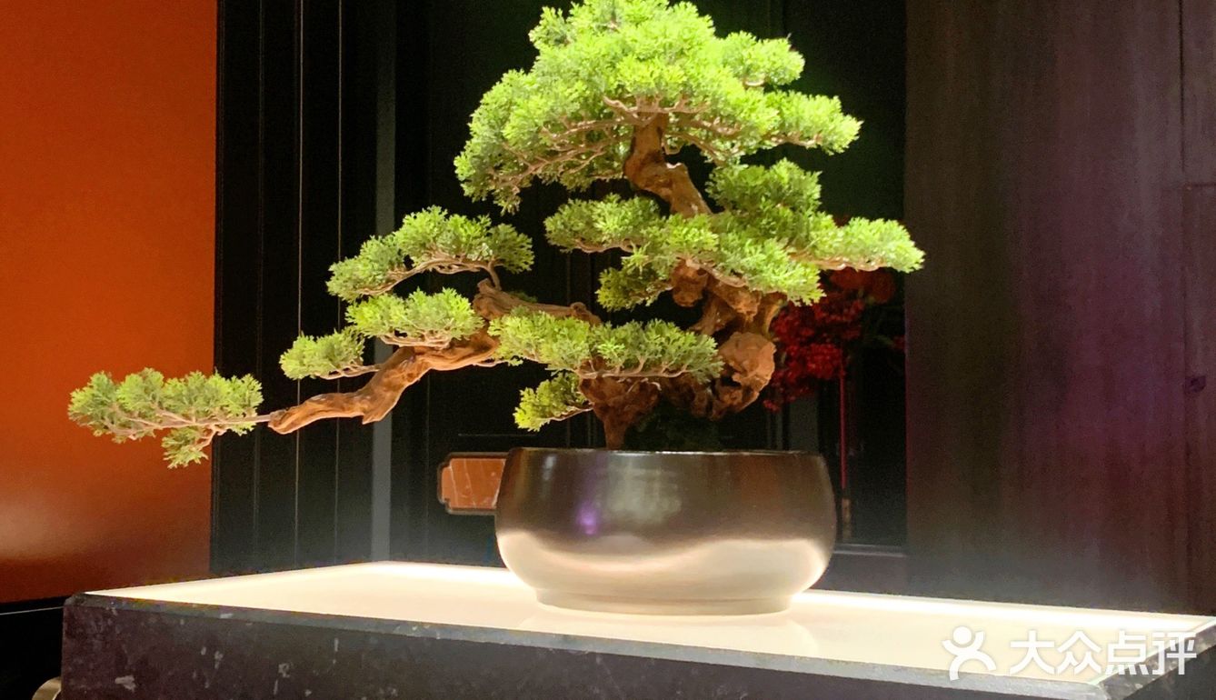 太原探店｜中国风🇨🇳杏花堂