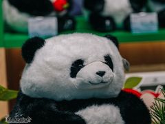 -成都大熊猫繁育研究基地