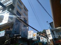 -猫咪博物馆(顶澳仔猫街店)