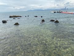 -养马岛旅游度假区