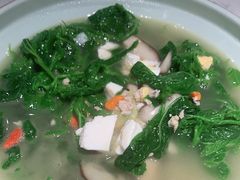 上汤桑叶苗-大榕树下顺德菜(融创茂店)