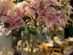 -一坐一忘云南菜(三里屯店)