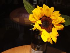 景观位-酒井酱子·深夜食堂(东城汇店)