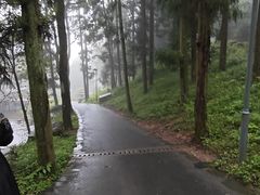 -溪口商量岗景区