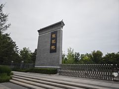-莲花池公园