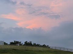 -小麦岛公园