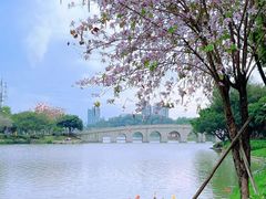 -顺峰山公园