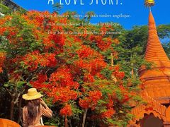 -曼听御花园