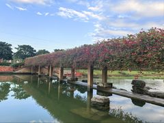 -那考河湿地公园