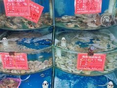 水产区-北戴河庆山饭店·海鲜砂锅粥(北戴河黑石路店)