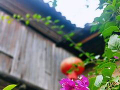 -零陵古城