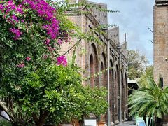 -The Grounds of Alexandria