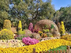 -上海共青森林公园