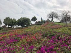 -东莞植物园
